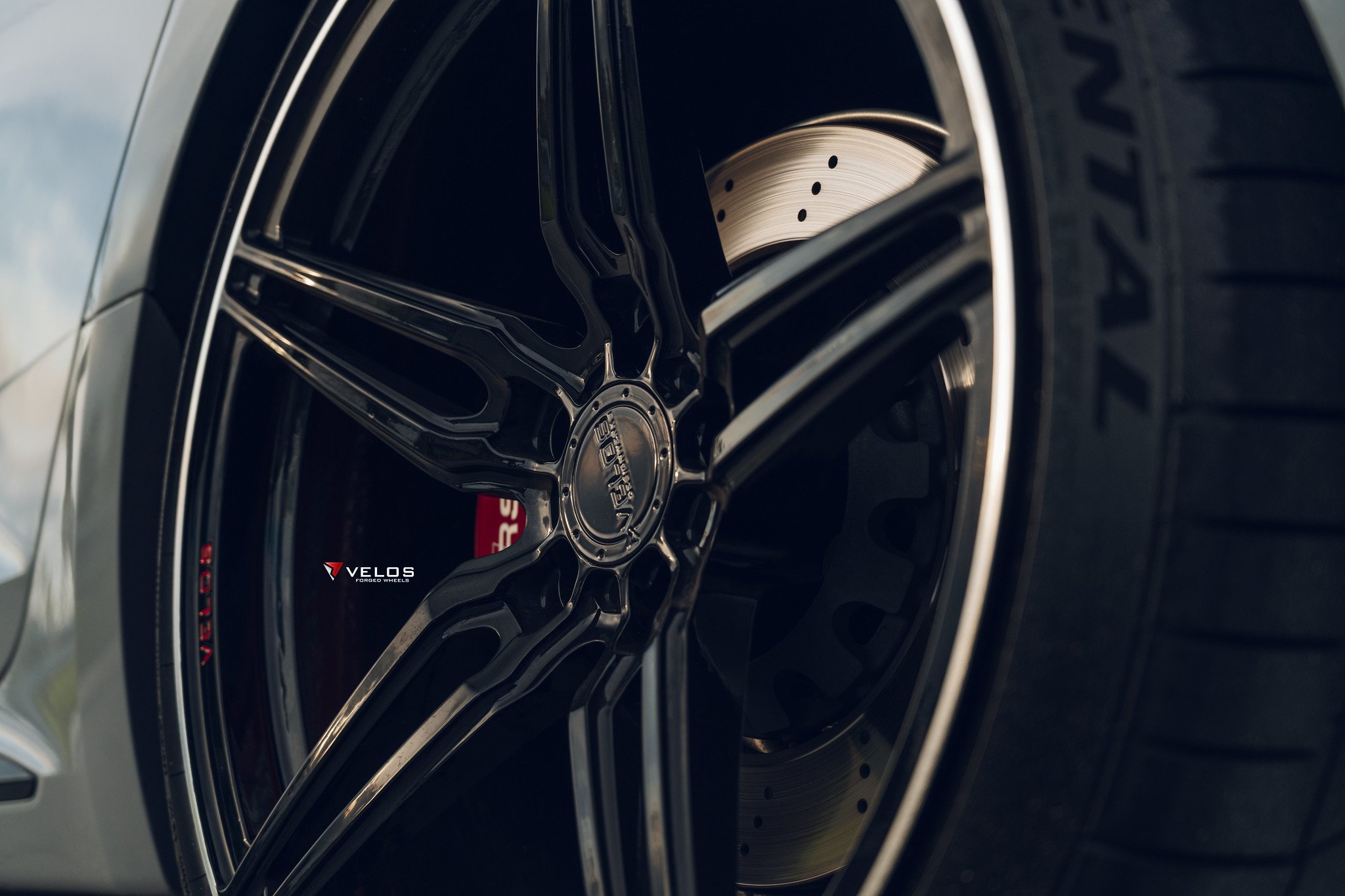 Audi Rs5 Sportback On Velos Vxs01 1 Pc Forged Wheels